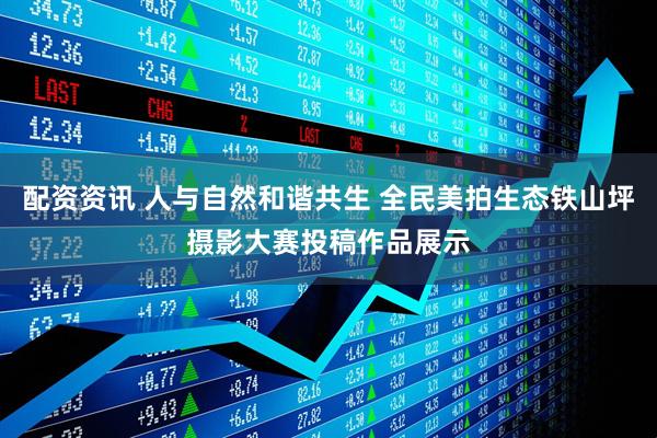 配资资讯 人与自然和谐共生 全民美拍生态铁山坪摄影大赛投稿作品展示