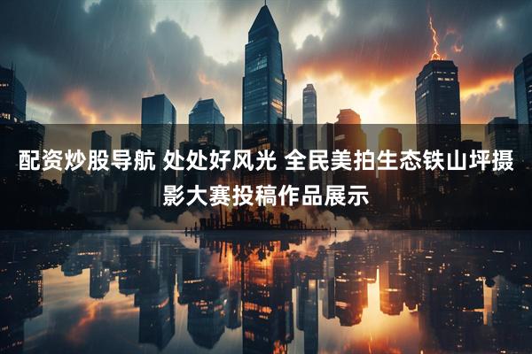 配资炒股导航 处处好风光 全民美拍生态铁山坪摄影大赛投稿作品展示